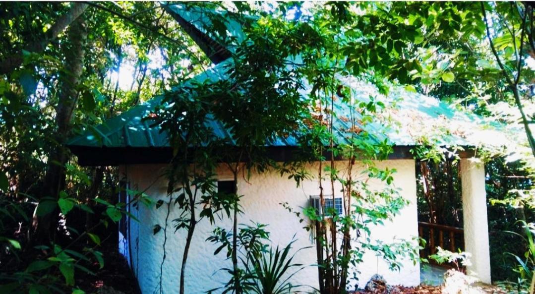 アンダ Kim'S Gardenヴィラ エクステリア 写真